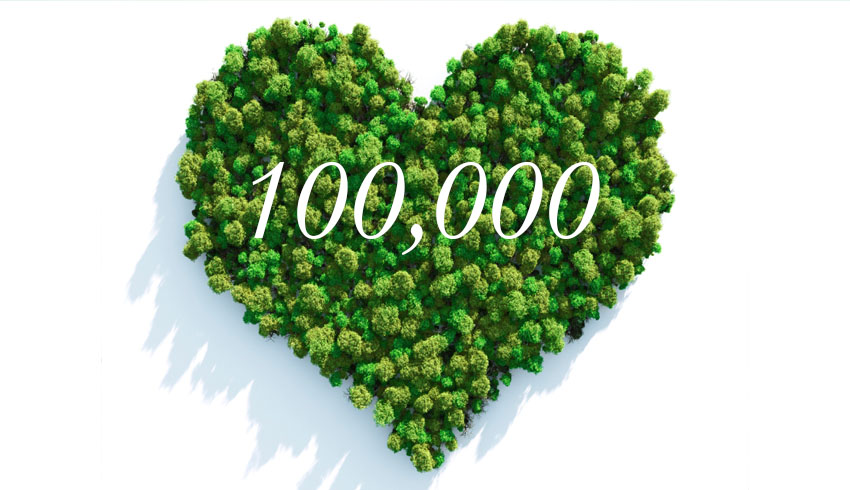 Eminence Fans Plant 100,000 Trees In 23 Days